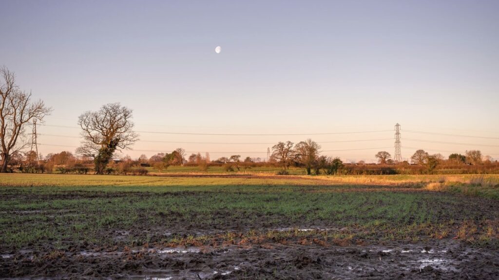 Bellmoor